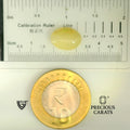 ITLGR_100517_SCALE.webp