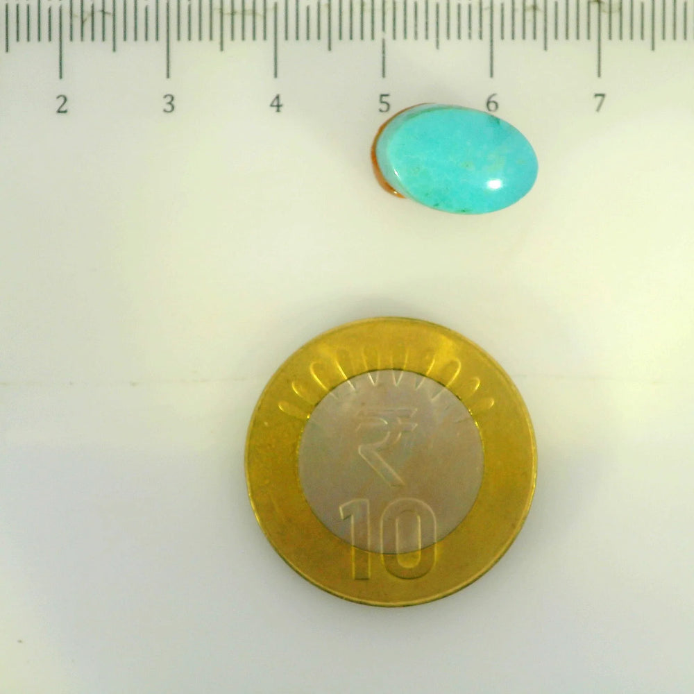 ITLGR_107262_SCALE.webp