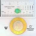 ITLGR_102358_SCALE.webp