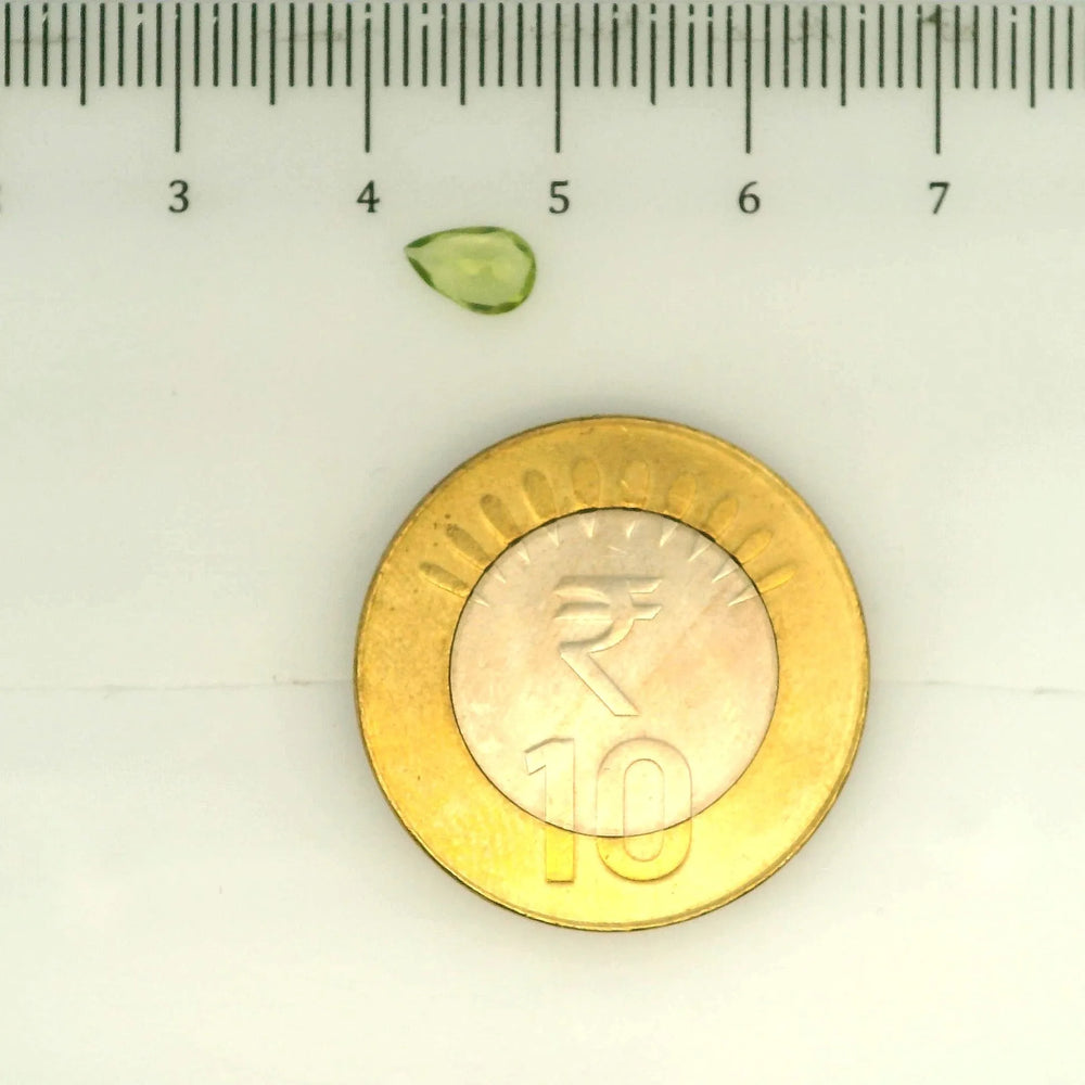 ITLGR_109383_SCALE.webp