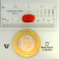 ITLGR_104533_SCALE.webp
