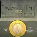 ITLGR_100371_SCALE.webp