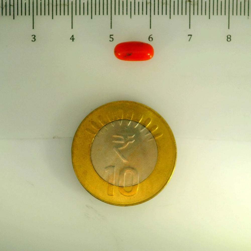 ITLGR_107157_SCALE.webp