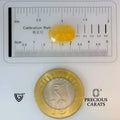 ITLGR_98891_SCALE.webp