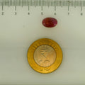 ITLGR_112868_SCALE.webp