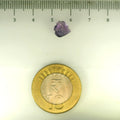 ITLGR_113236_SCALE.webp