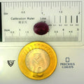 ITLGR_100286_SCALE.webp