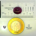 ITLGR_100287_SCALE.webp