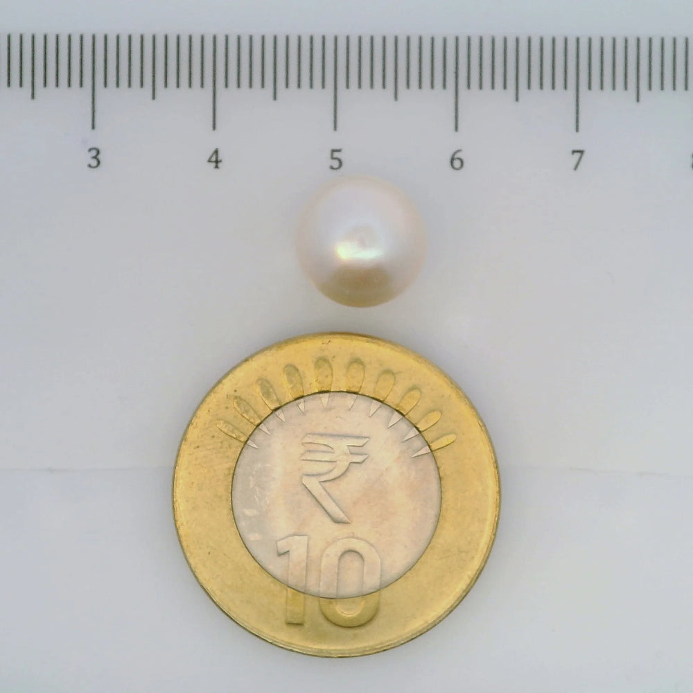 ITLGR_107027_SCALE.webp