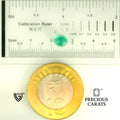 ITLGR_105247_SCALE.webp