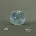 IGITL_197781_FRONT.webp