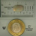 ITLGR_102004_SCALE.webp