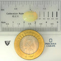 ITLGR_100526_SCALE.webp