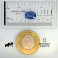 GFCO_33925-15_SCALE.webp