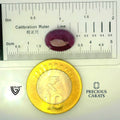 ITLGR_100282_SCALE.webp