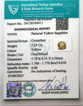 ITLGR_104911_CERTIFICATE.webp
