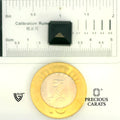 ITLGR_104572_SCALE.webp