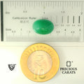 ITLGR_102124_SCALE.webp