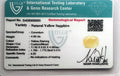 ITLGR_98895_CERTIFICATE.webp