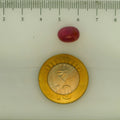 ITLGR_112865_SCALE.webp