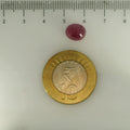 ITLGR_112876_SCALE.webp