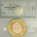 ITLGR_101886_SCALE.webp