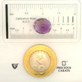 ITLGR_101587_SCALE.webp