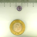 ITLGR_113102_SCALE.webp