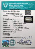 ITLGR_101909_CERTIFICATE.webp