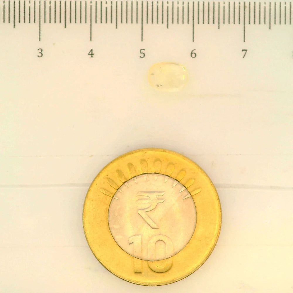 ITLGR_104971_SCALE.webp