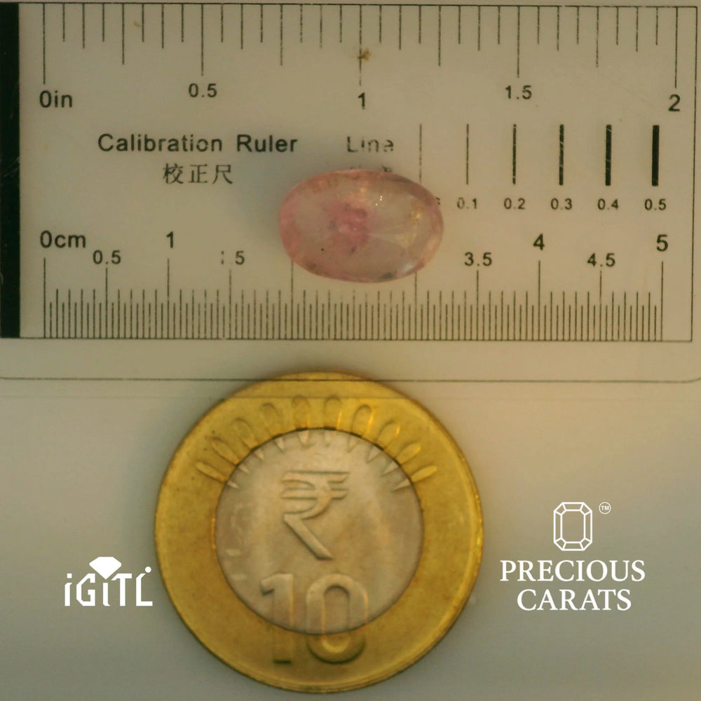 IGITL_197827_SCALE.webp