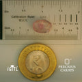 IGITL_197827_SCALE.webp