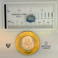 ITLGR_99102_SCALE.webp