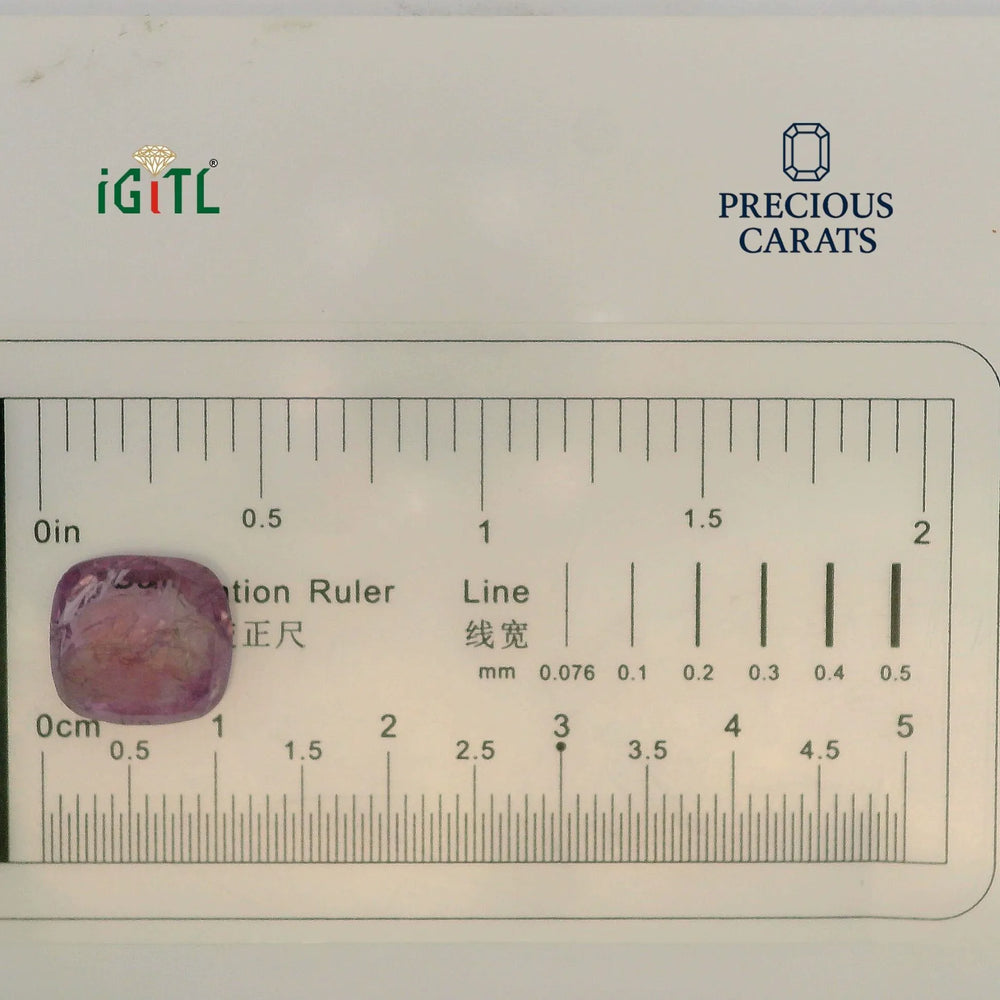 IGITL_194725_SCALE.webp