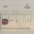 IGITL_194725_SCALE.webp