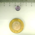 ITLGR_113107_SCALE.webp