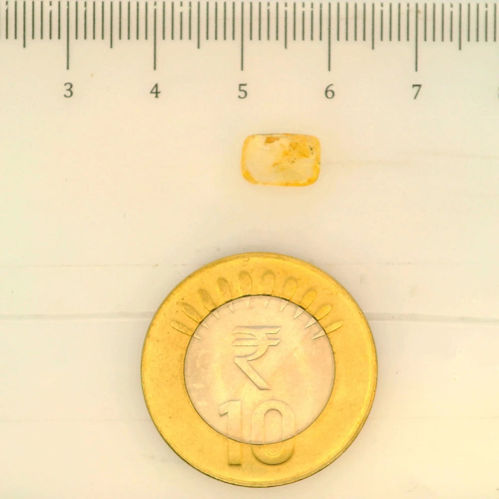 ITLGR_104973_SCALE.webp