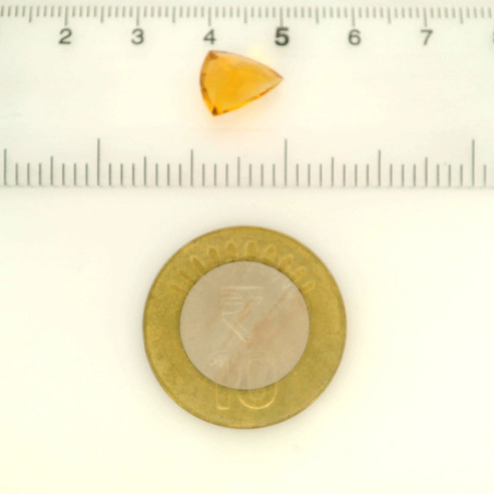ITLGR_121755_SCALE.webp