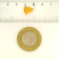 ITLGR_121755_SCALE.webp