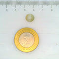 ITLGR_109819_SCALE.webp