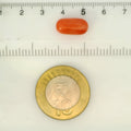ITLGR_121362_SCALE.webp