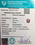 ITLGR_113101_CERTIFICATE.webp