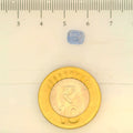 ITLGR_105023_SCALE.webp