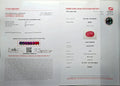 GFCO_39059_19_CERTIFICATE.webp
