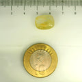 IGITL_201535_SCALE.webp