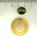 ITLGR_107067_SCALE.webp