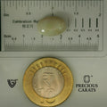 ITLGR_101981_SCALE.webp