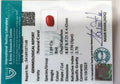 ITLGR_107148_CERTIFICATE.webp