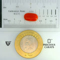 ITLGR_104516_SCALE.webp