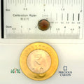 IGITL_200211_SCALE.webp